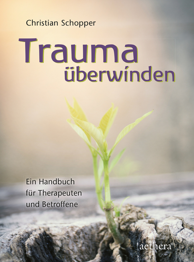 Cover: 9783825180133 | Trauma überwinden | Ein Handbuch für Therapeuten und Betroffene | Buch