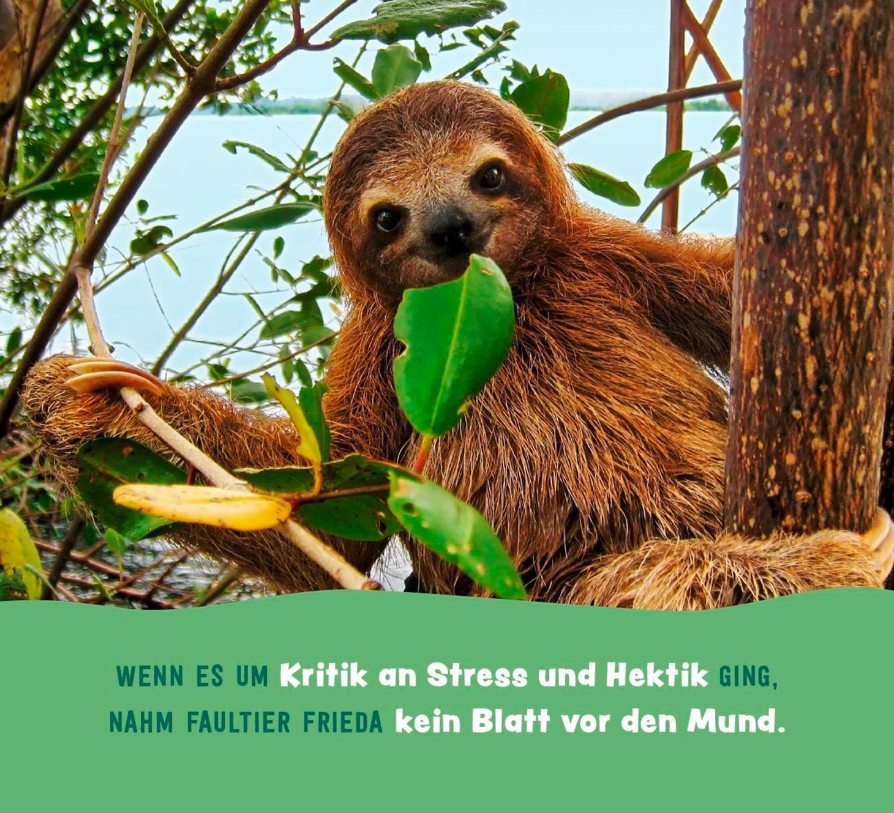 Bild: 9783848502813 | Tierisch gechillt! | Paulus Vennebusch | Taschenbuch | Spiralbindung