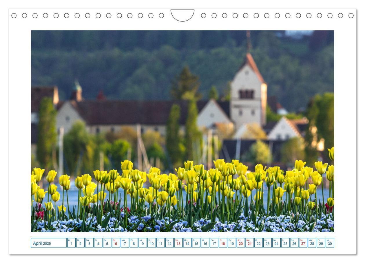 Bild: 9783457186022 | Allensbach am Bodensee (Wandkalender 2025 DIN A4 quer), CALVENDO...