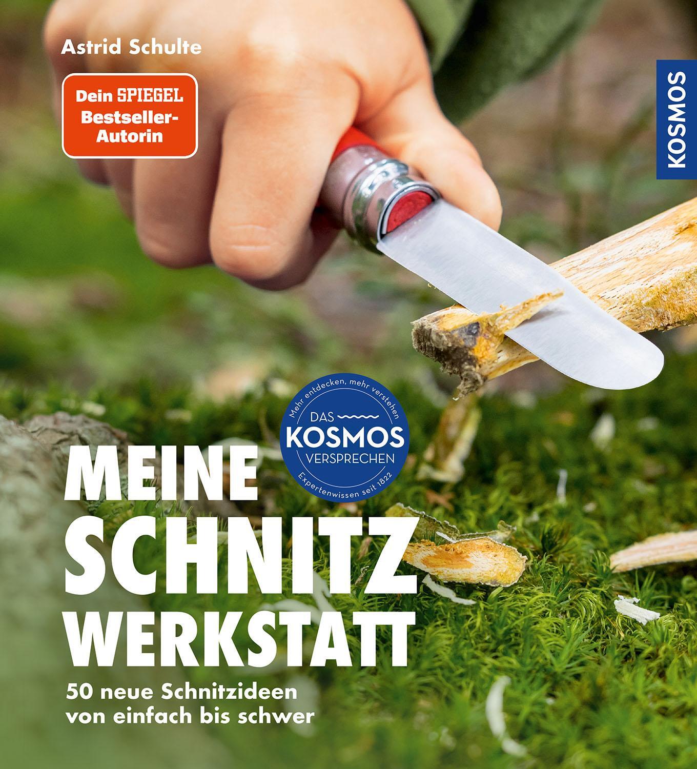 Cover: 9783440177310 | Meine Schnitzwerkstatt | Astrid Schulte | Buch | 96 S. | Deutsch