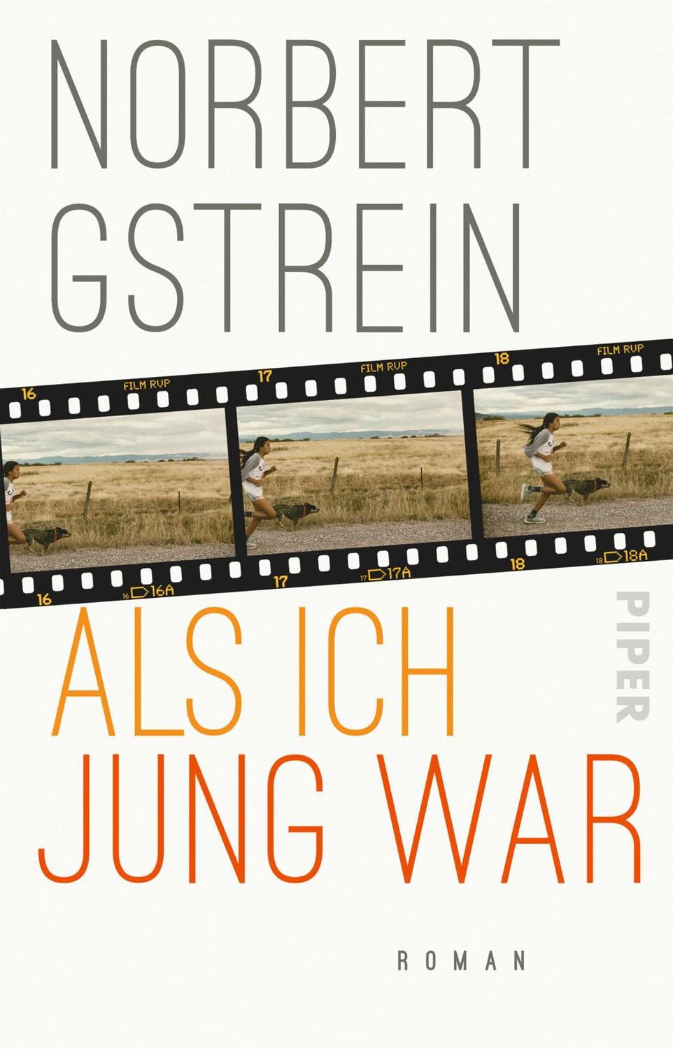 Cover: 9783492317177 | Als ich jung war | Roman | Norbert Gstrein | Taschenbuch | 352 S.