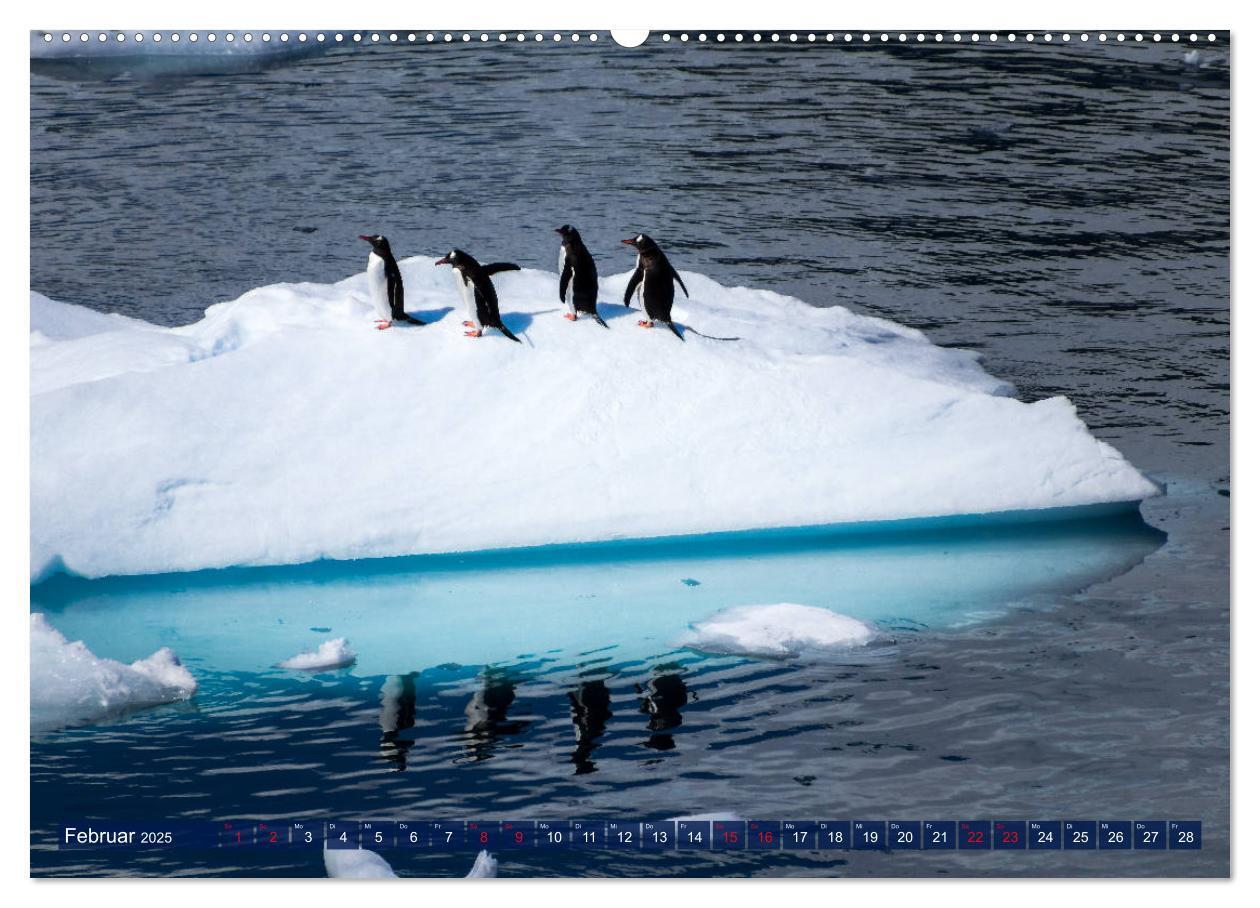 Bild: 9783435257225 | Antarktis Gletscher, Robben, Pinguine (Wandkalender 2025 DIN A2...