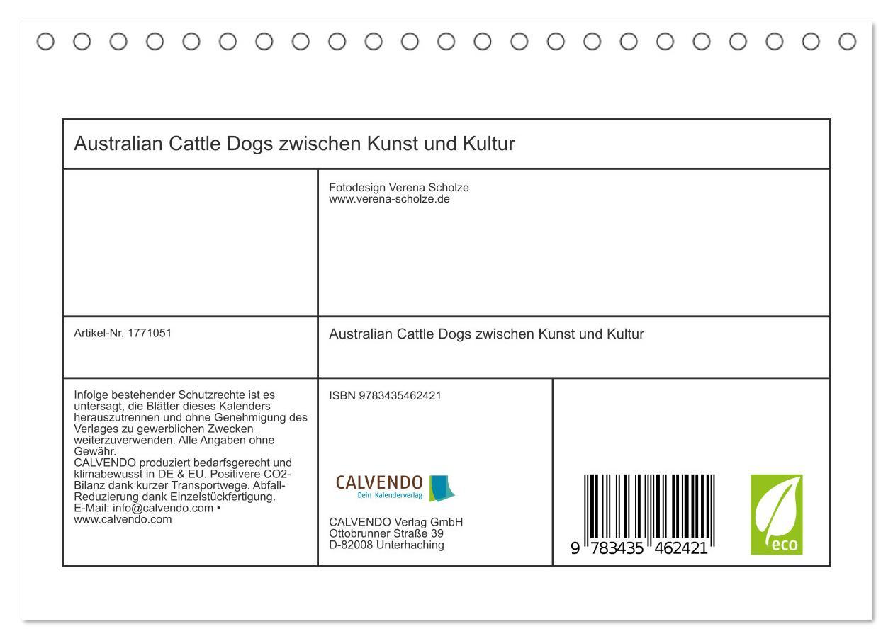 Bild: 9783435462421 | Australian Cattle Dogs zwischen Kunst und Kultur (Tischkalender...