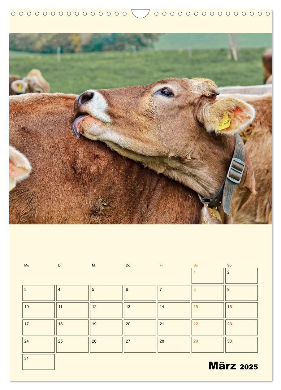 Bild: 9783435903993 | Glückliche Bergkühe (Wandkalender 2025 DIN A3 hoch), CALVENDO...