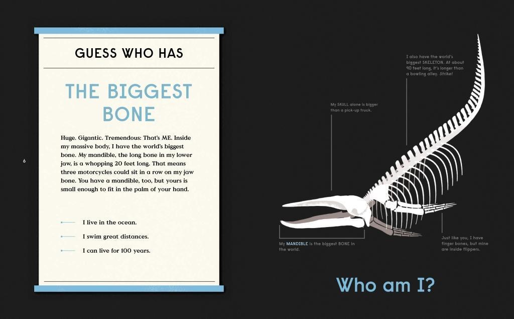 Bild: 9780714875118 | Book of Bones | 10 Record-Breaking Animals | Gabrielle Balkan | Buch