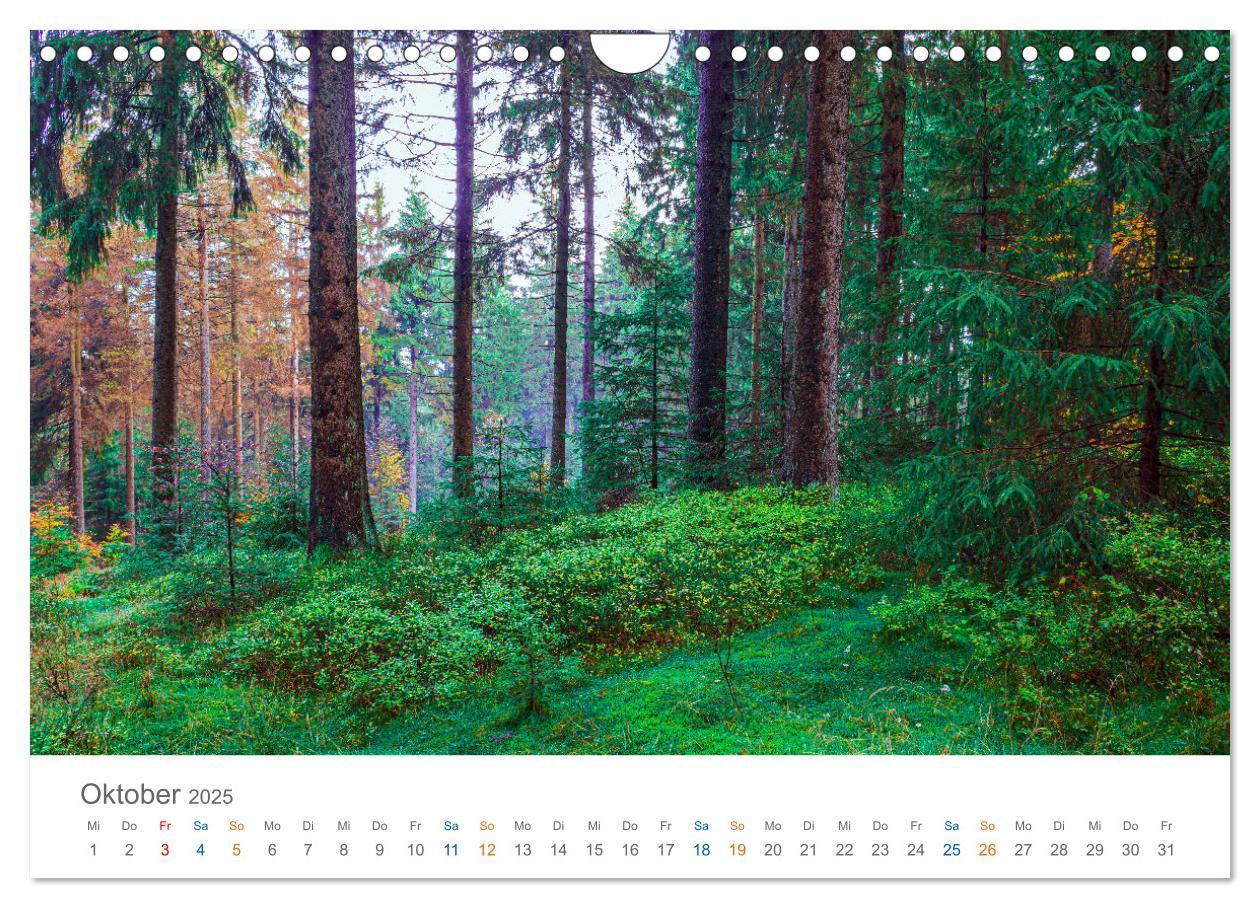 Bild: 9783457142318 | Rennsteig - Weitwanderweg (Wandkalender 2025 DIN A4 quer), CALVENDO...