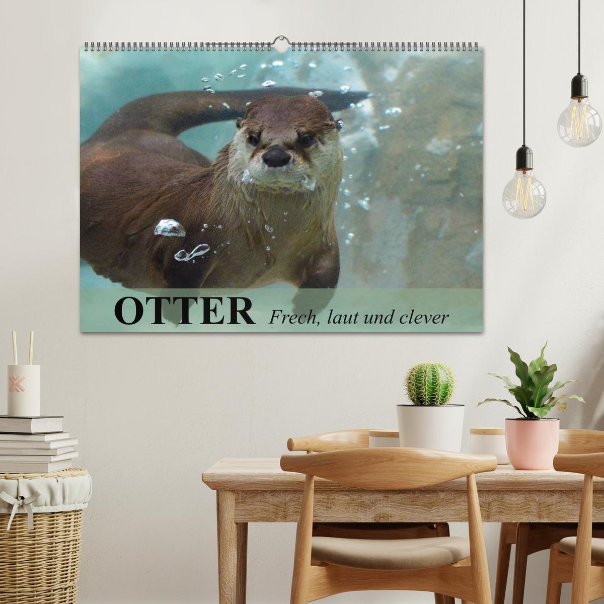 Bild: 9783435605323 | Otter. Frech, laut und clever (Wandkalender 2025 DIN A2 quer),...