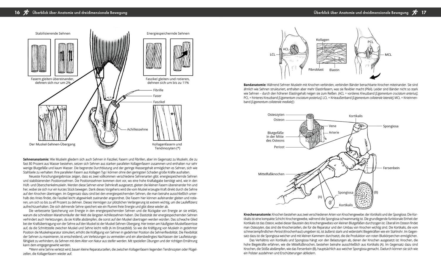 Bild: 9783742321497 | Verletzungsfrei laufen | Tom Michaud | Taschenbuch | 288 S. | Deutsch