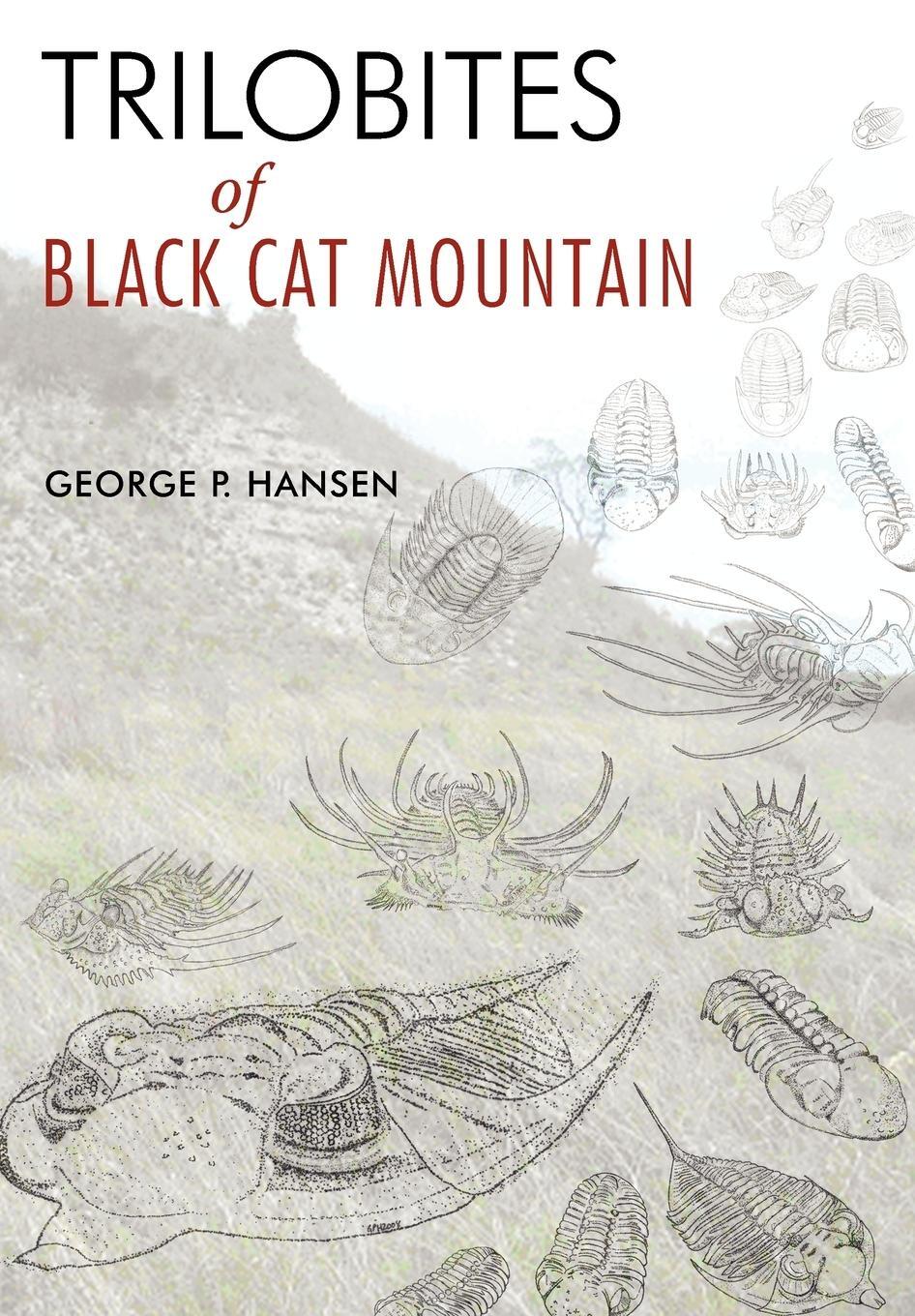 Cover: 9780595513499 | Trilobites of Black Cat Mountain | George P. Hansen | Buch | Englisch