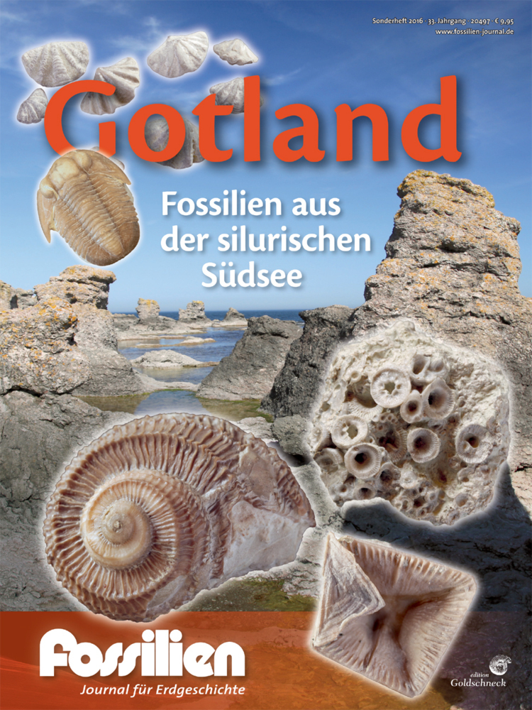 Cover: 9783494016764 | Gotland - Fossilien aus der silurischen Südsee | Taschenbuch | 64 S.