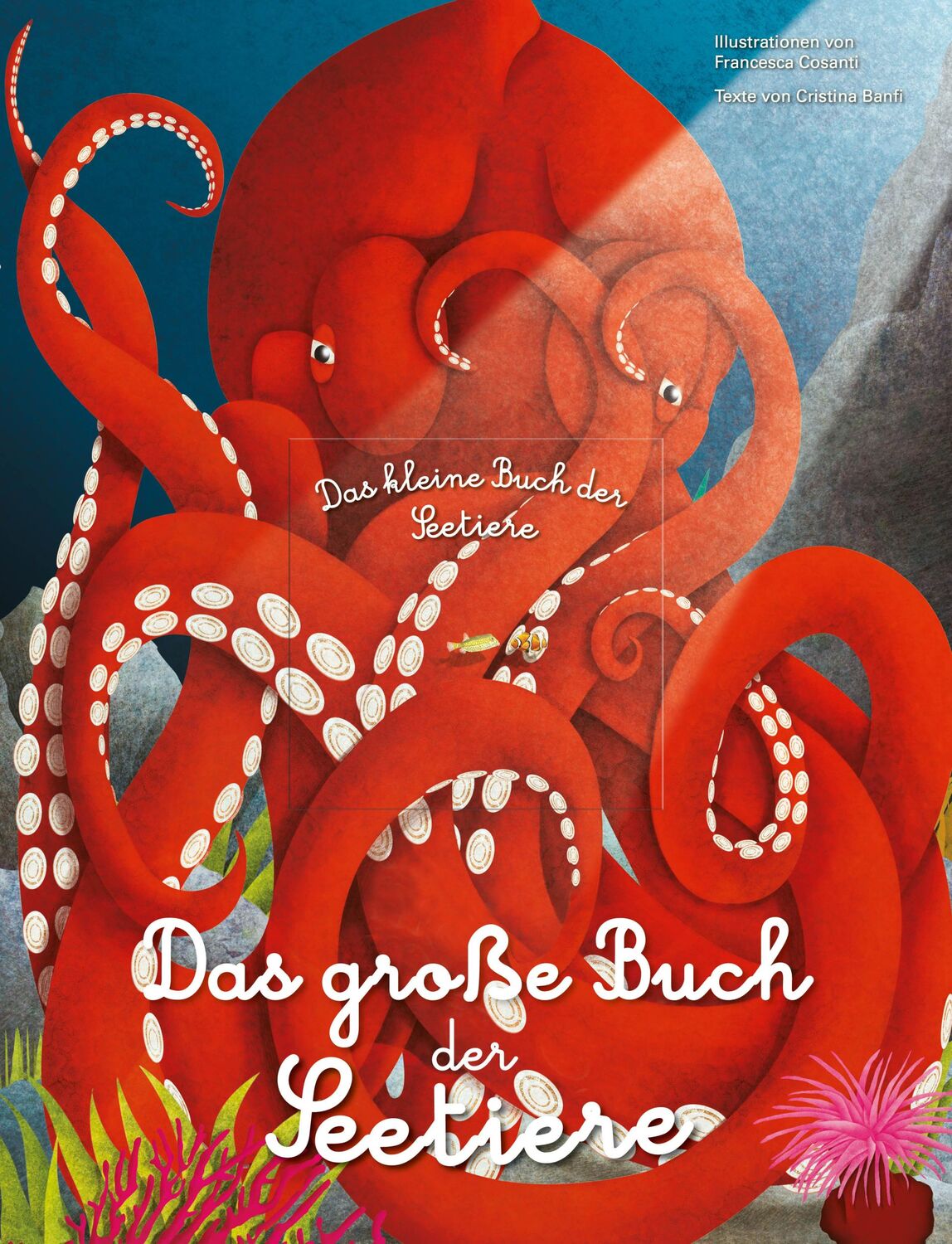 Cover: 9788863125818 | Das große Buch der Seetiere. Das kleine Buch der Seetiere | Banfi