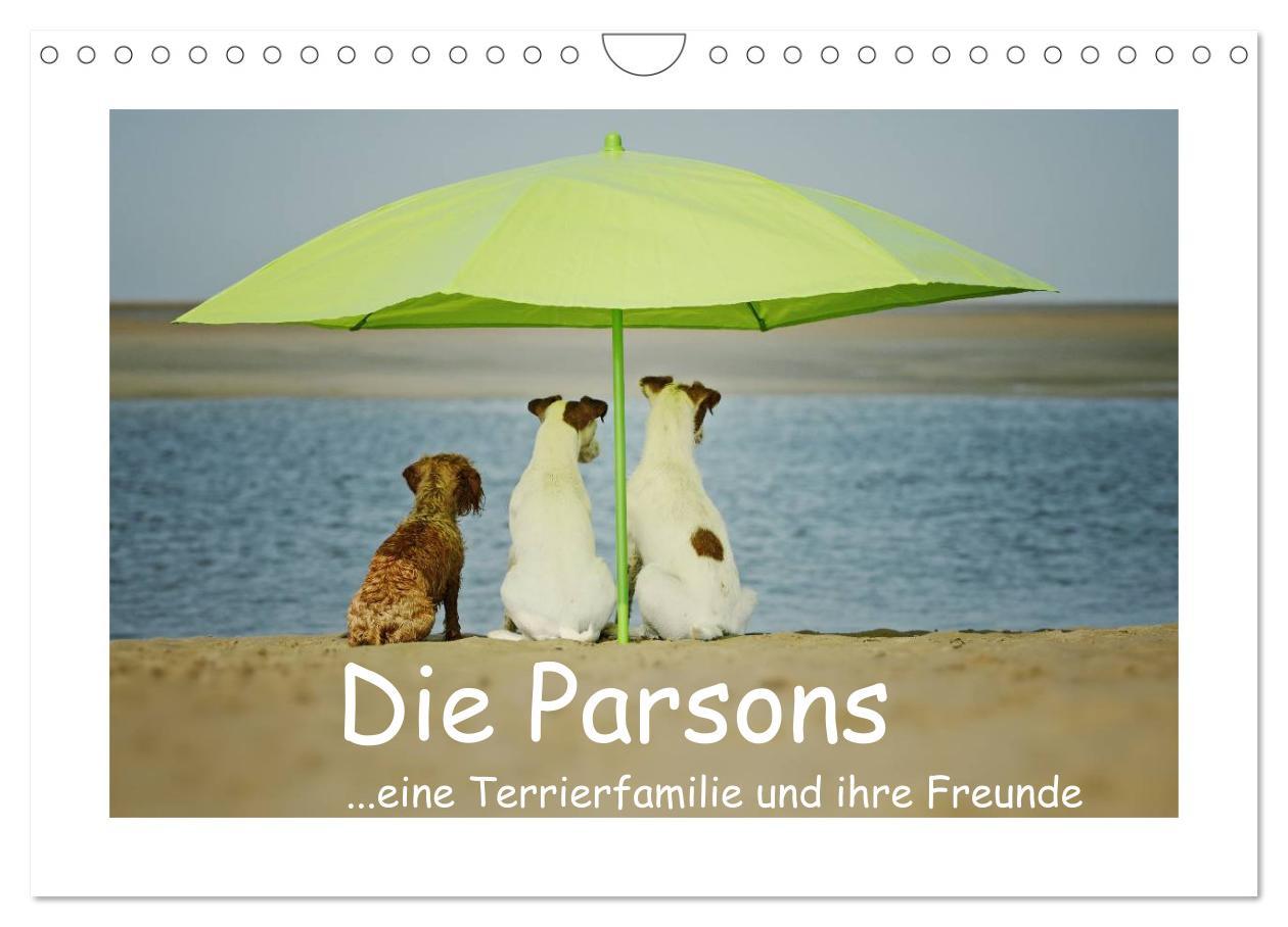 Cover: 9783435641529 | Die Parsons (Wandkalender 2025 DIN A4 quer), CALVENDO Monatskalender