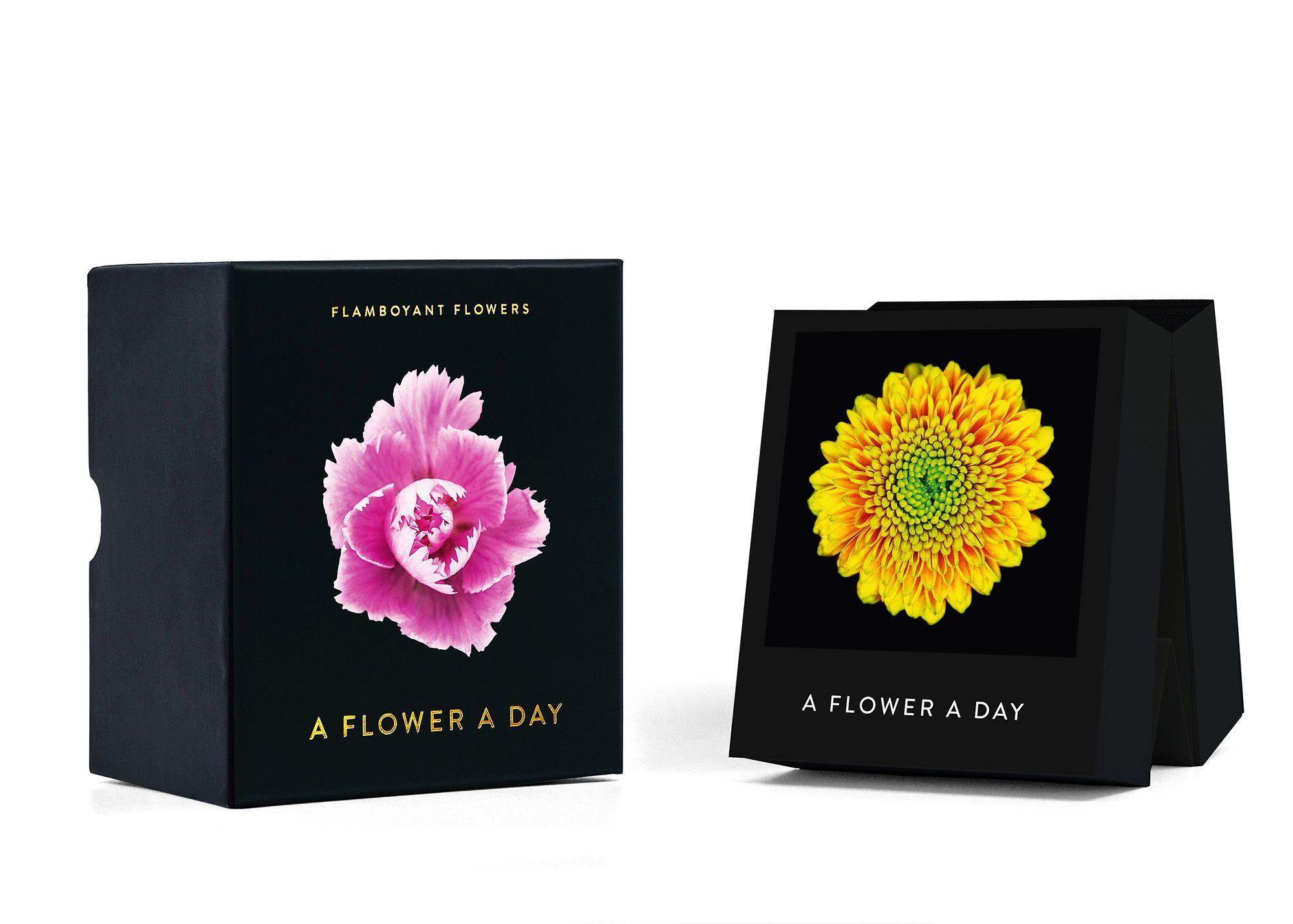 Bild: 9783946688839 | Flamboyant Flowers | A Flower A Day | Nicolas Meriel | Kalender