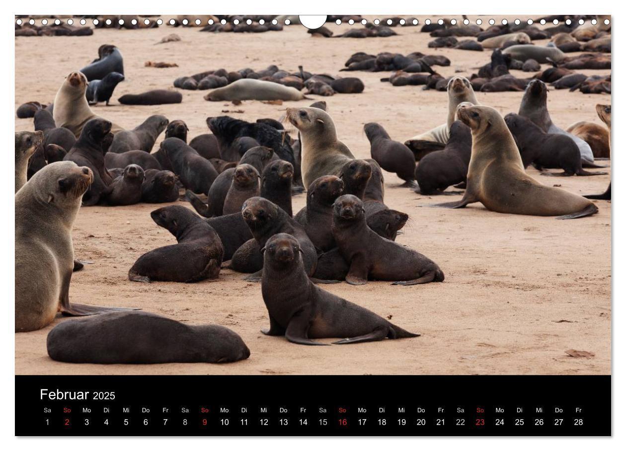 Bild: 9783435777280 | Namibias Tiere: von groß bis klein (Wandkalender 2025 DIN A3 quer),...