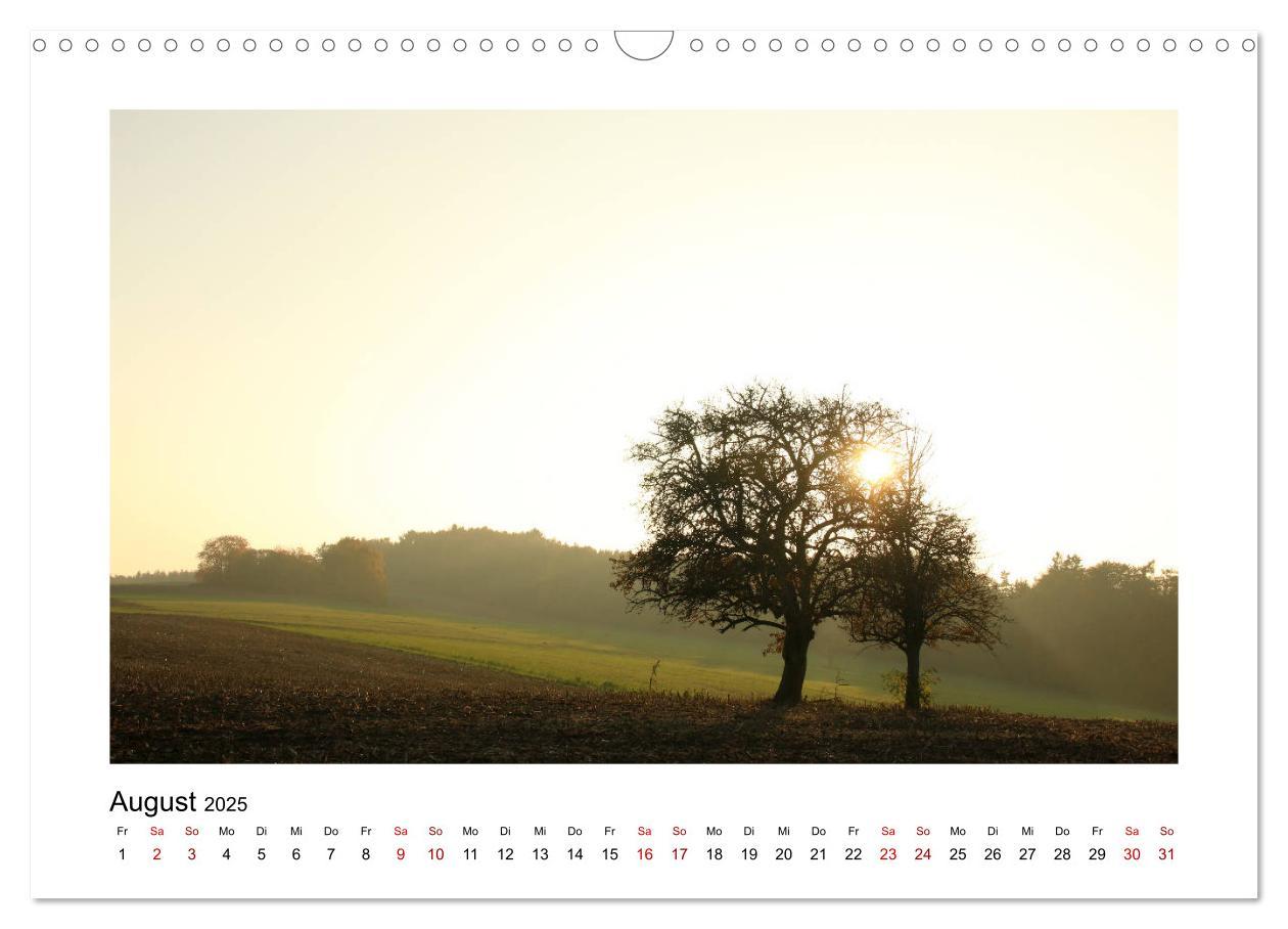 Bild: 9783435405060 | Zauberhafte Landschaften im Odenwald (Wandkalender 2025 DIN A3...