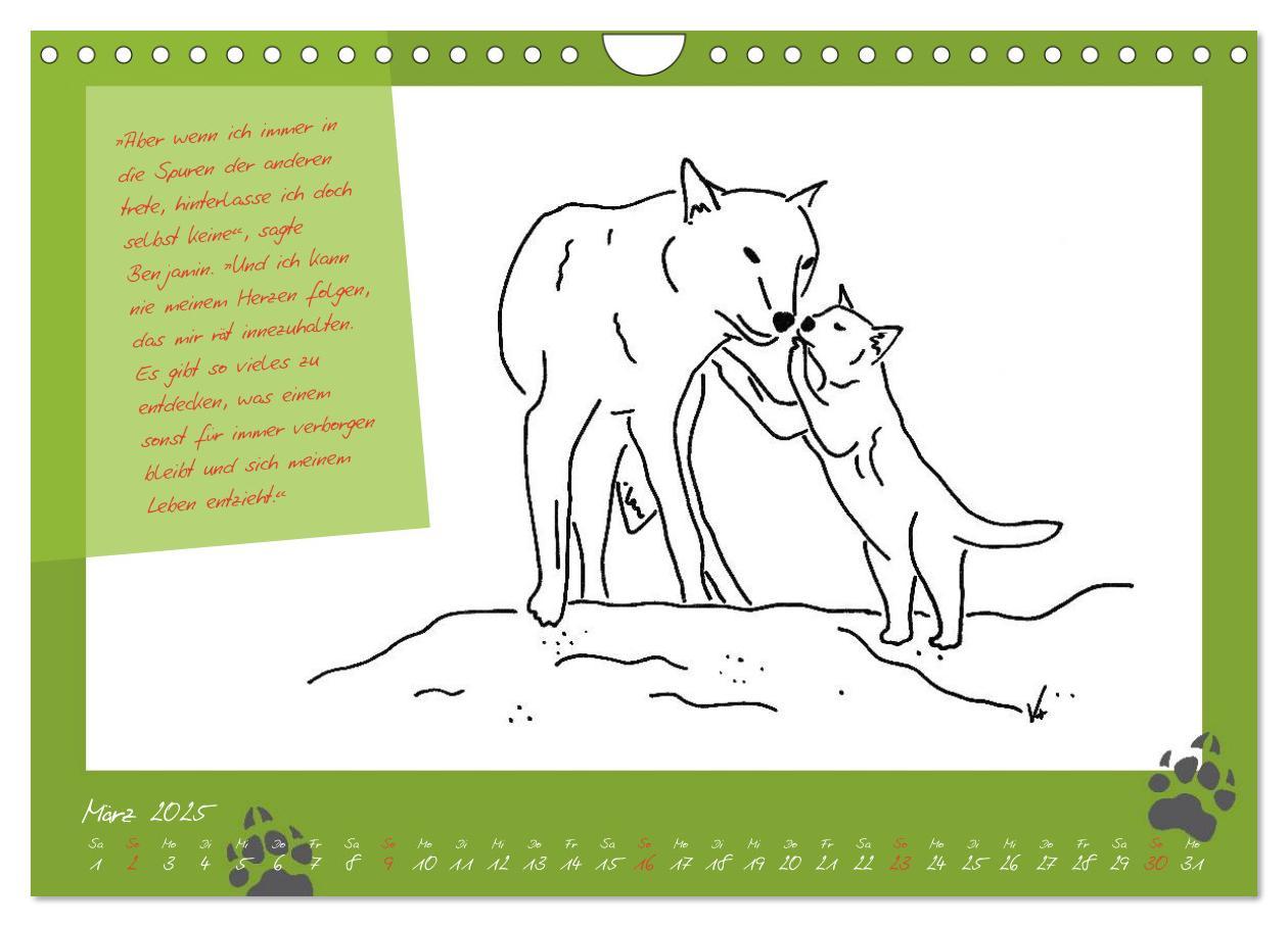 Bild: 9783435726660 | Der kleine GROSSE Wolf - Kalender (Wandkalender 2025 DIN A4 quer),...