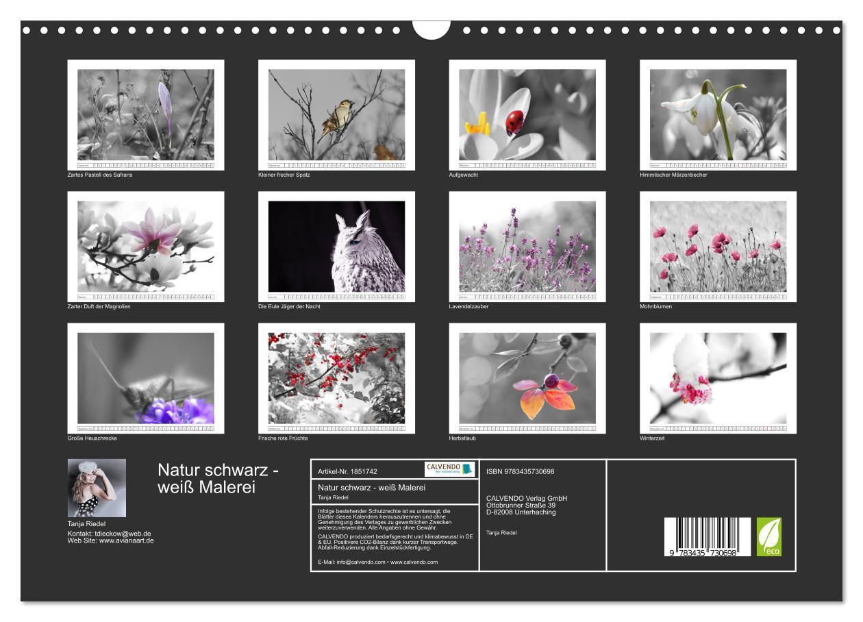 Bild: 9783435730698 | Natur schwarz - weiß Malerei (Wandkalender 2025 DIN A3 quer),...