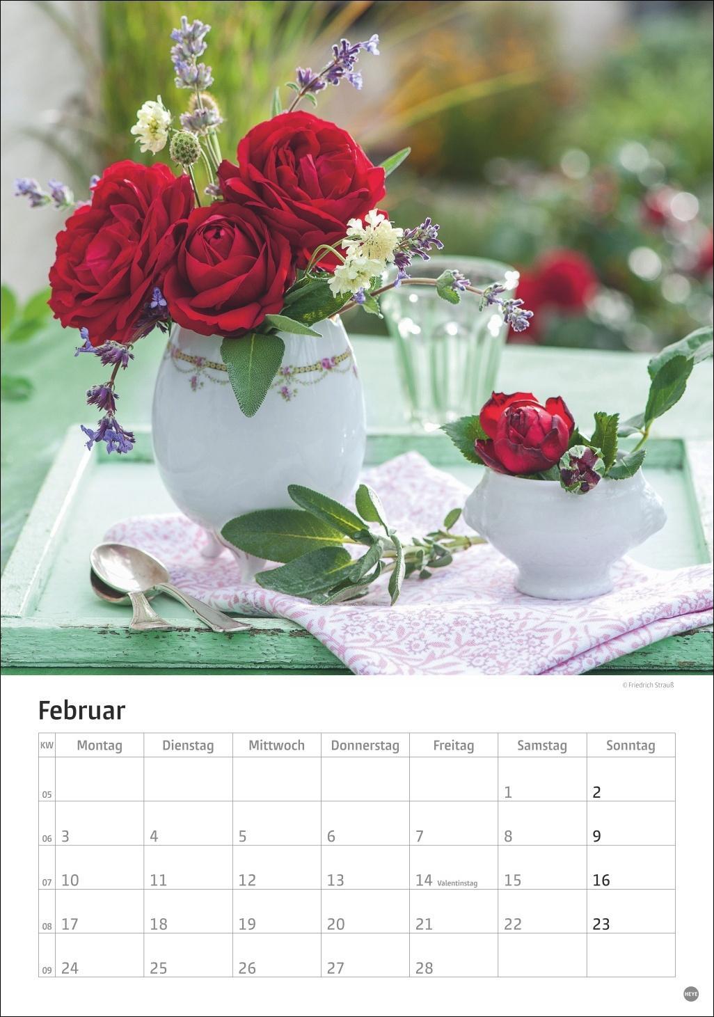 Bild: 9783756405596 | Rosenpracht Kalender 2025 | Heye | Kalender | Spiralbindung | 13 S.