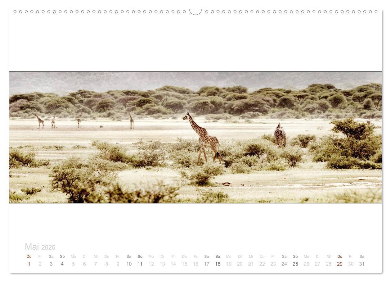 Bild: 9783435685547 | Serengeti Panorama (hochwertiger Premium Wandkalender 2025 DIN A2...