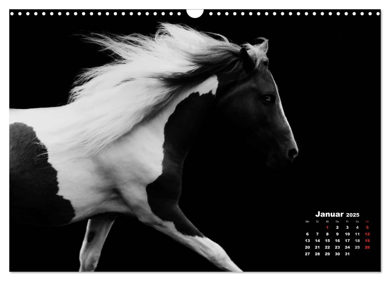 Bild: 9783435630417 | Pferde zwischen Licht und Schatten (Wandkalender 2025 DIN A3 quer),...