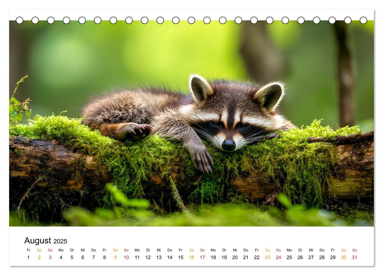 Bild: 9783457212998 | Wilde Tierwelt im Wald (Tischkalender 2025 DIN A5 quer), CALVENDO...