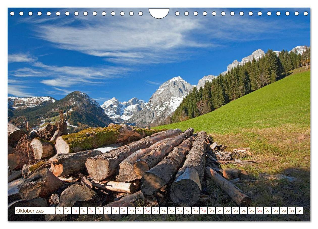 Bild: 9783435495740 | Alles aus Holz (Wandkalender 2025 DIN A4 quer), CALVENDO...