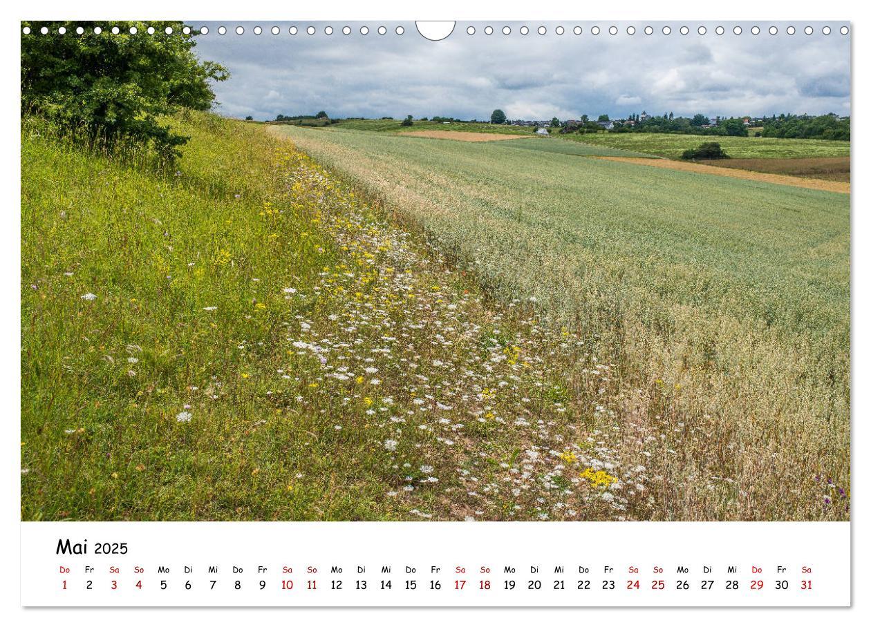 Bild: 9783435452026 | Die Eifel - Orte und Landschaften (Wandkalender 2025 DIN A3 quer),...