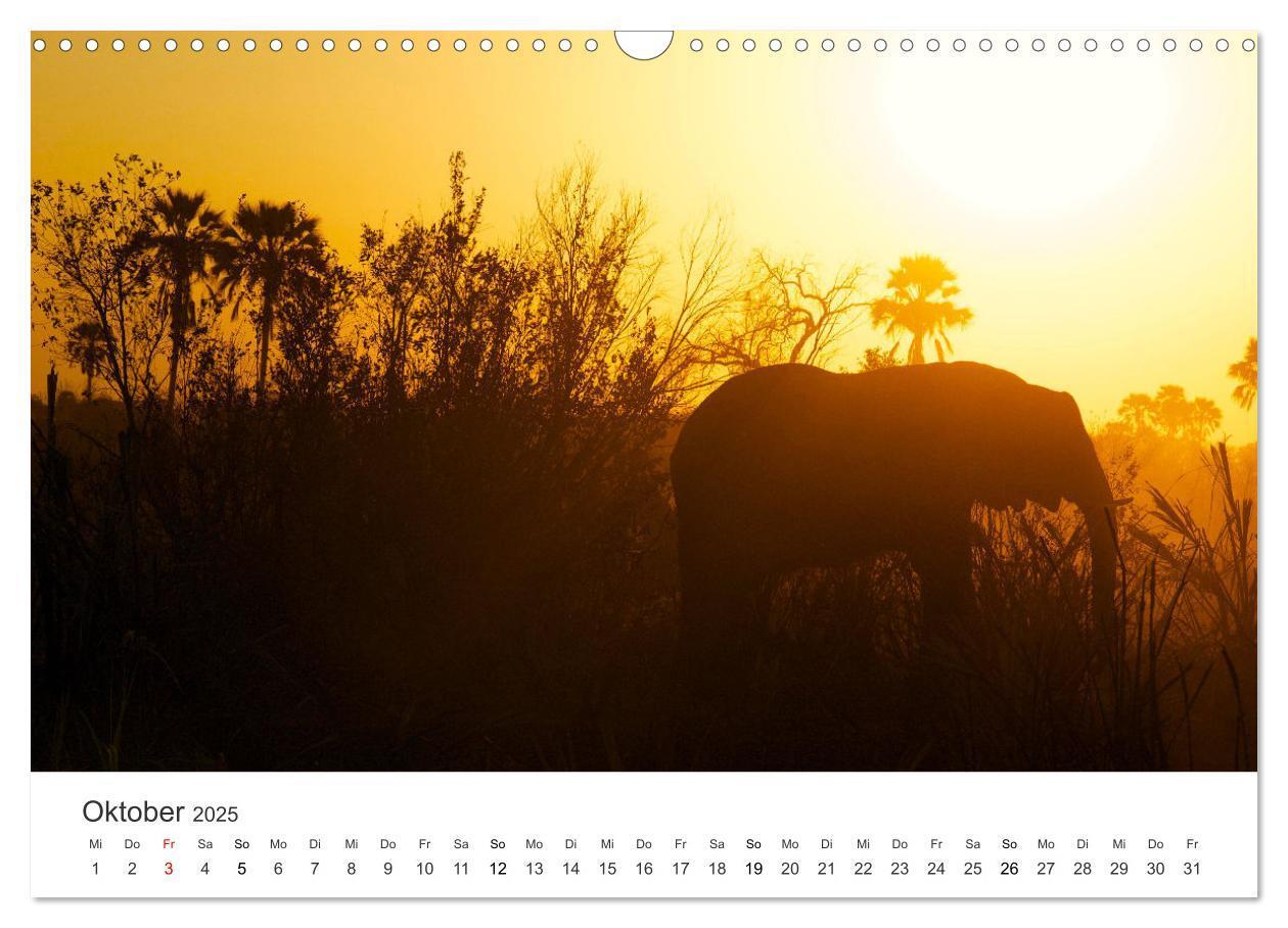 Bild: 9783383957031 | Botswana - Grandiose Wildnis (Wandkalender 2025 DIN A3 quer),...