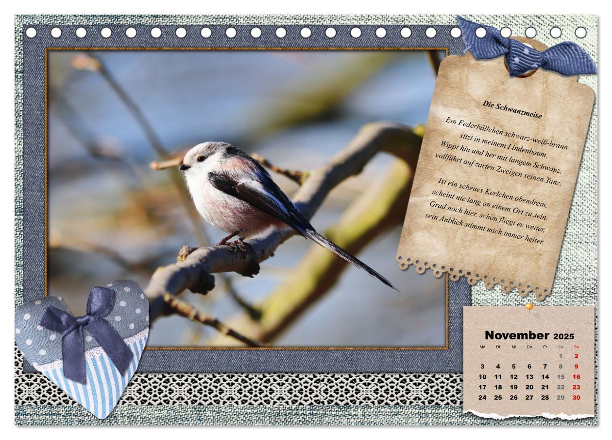 Bild: 9783435081905 | Der poetische Vogelkalender (Tischkalender 2025 DIN A5 quer),...