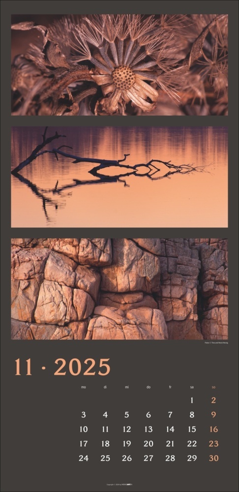 Bild: 9783839900635 | Die Farben der Natur Kalender 2025 | Horst Herzig (u. a.) | Kalender