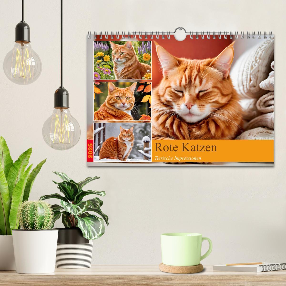 Bild: 9783383817830 | Rote Katzen (Wandkalender 2025 DIN A4 quer), CALVENDO Monatskalender