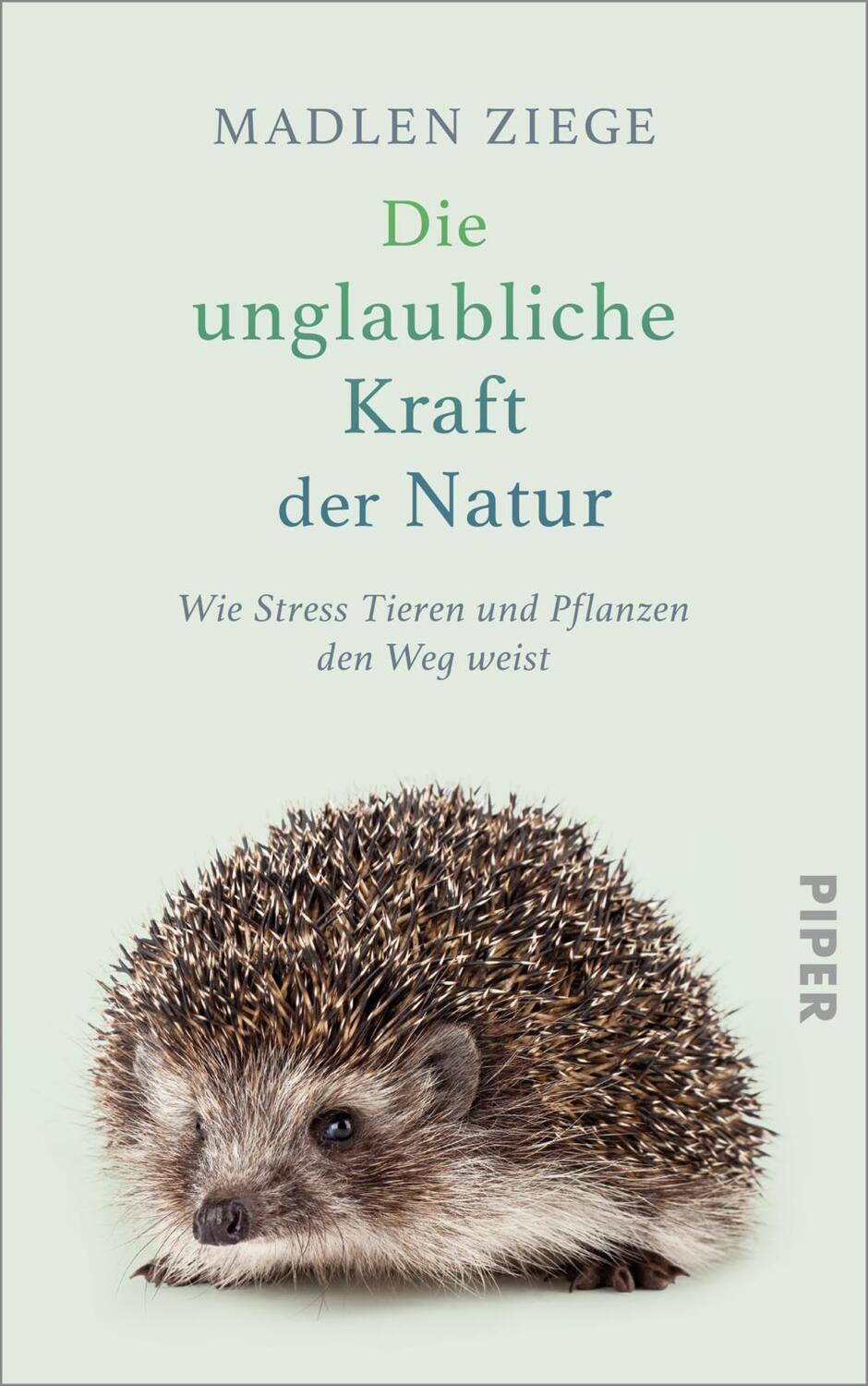 Cover: 9783492071369 | Die unglaubliche Kraft der Natur | Madlen Ziege | Buch | 240 S. | 2023