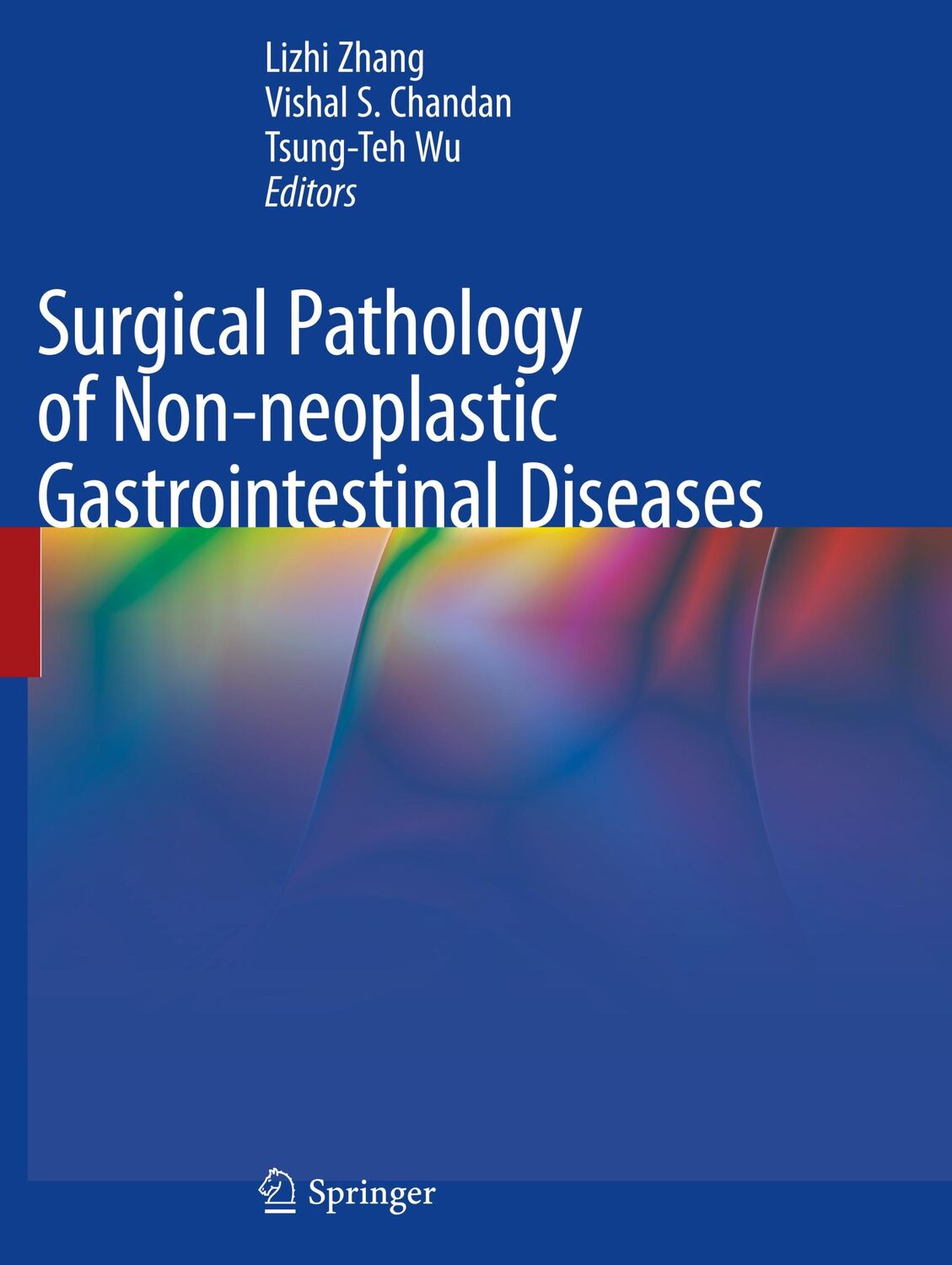 Cover: 9783030155759 | Surgical Pathology of Non-neoplastic Gastrointestinal Diseases | Buch