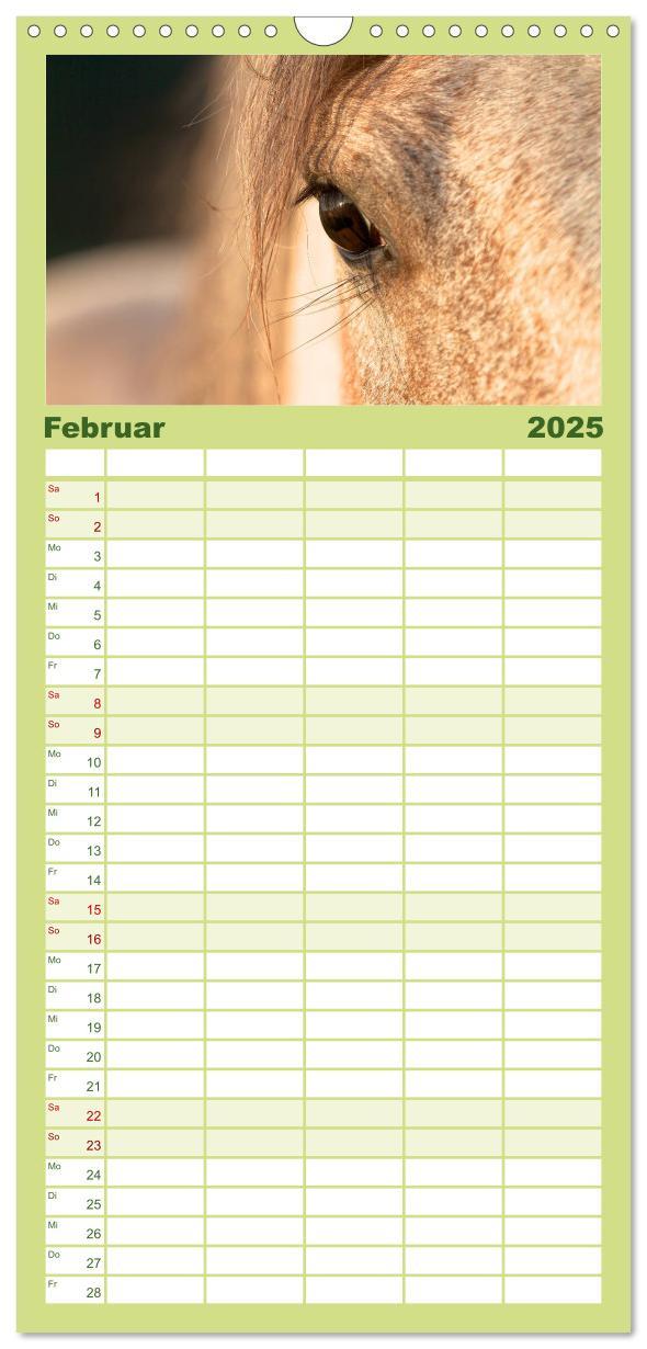 Bild: 9783457111130 | Familienplaner 2025 - Wilde Pferde mit 5 Spalten (Wandkalender, 21...