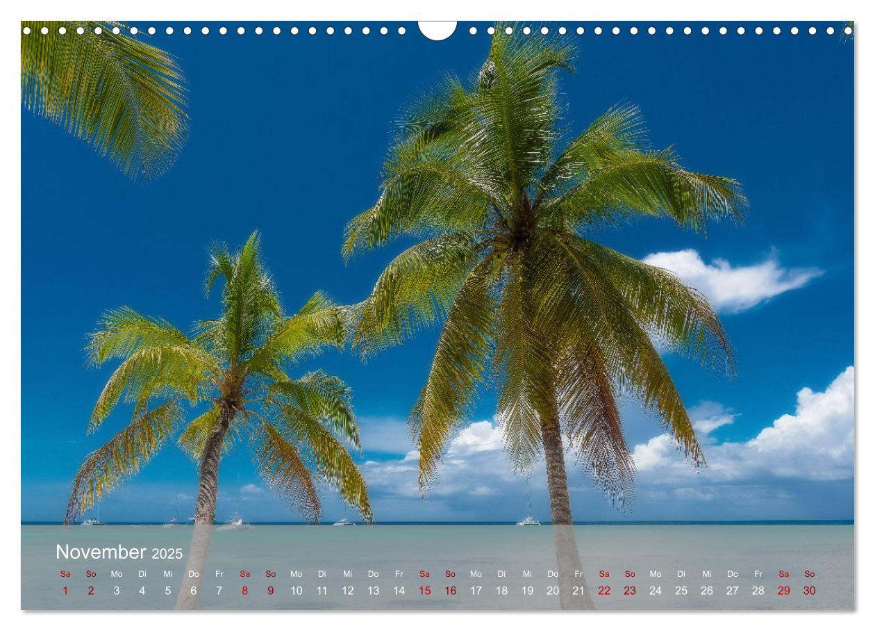 Bild: 9783435022465 | Karibik Traum Isla Saona (Wandkalender 2025 DIN A3 quer), CALVENDO...