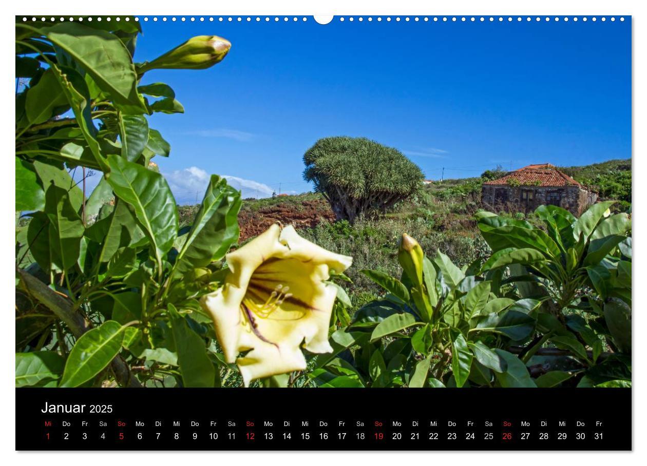 Bild: 9783435685721 | La Palma - die grüne Insel (Wandkalender 2025 DIN A2 quer),...