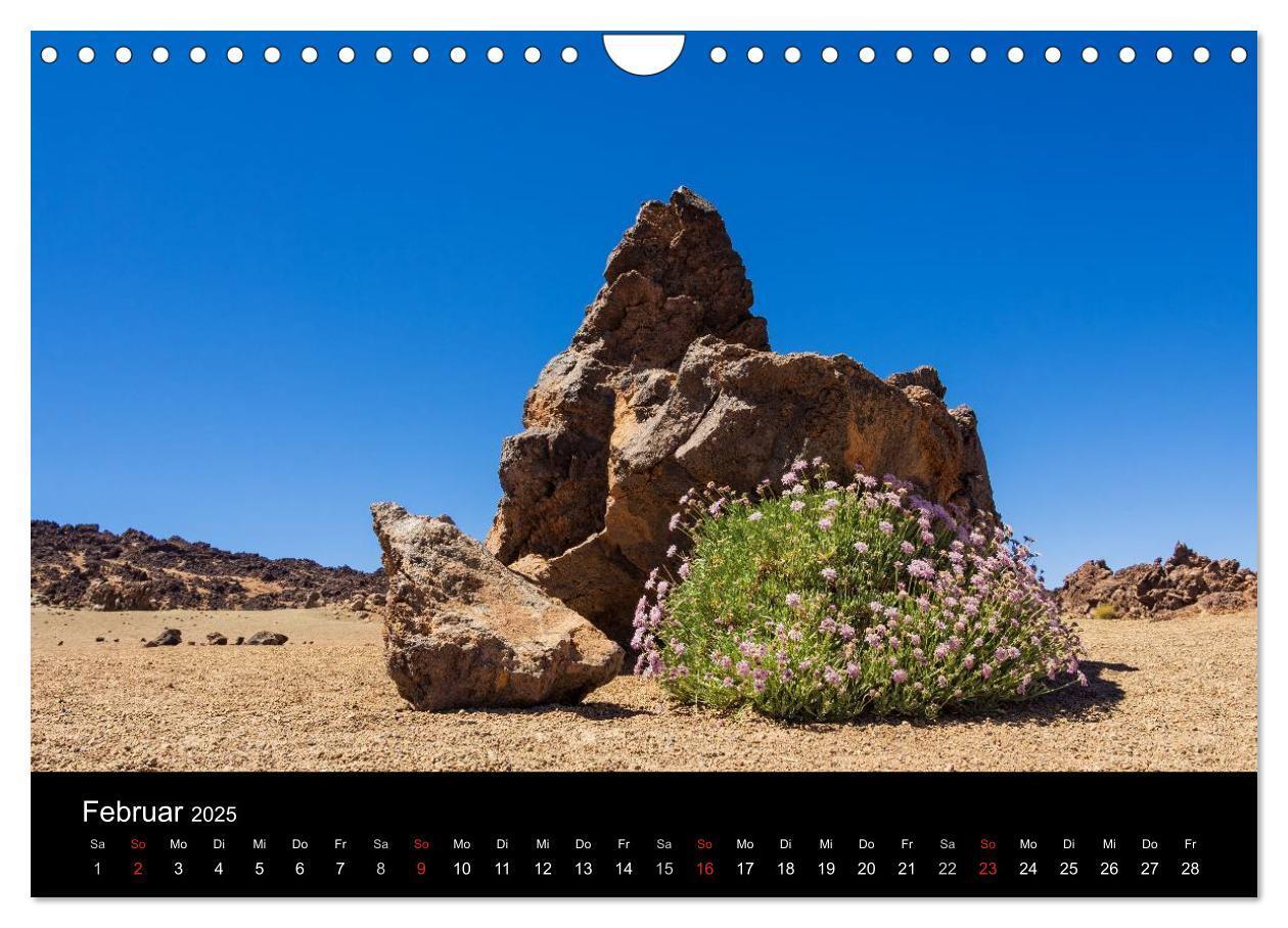 Bild: 9783435778447 | Teneriffa (Wandkalender 2025 DIN A4 quer), CALVENDO Monatskalender