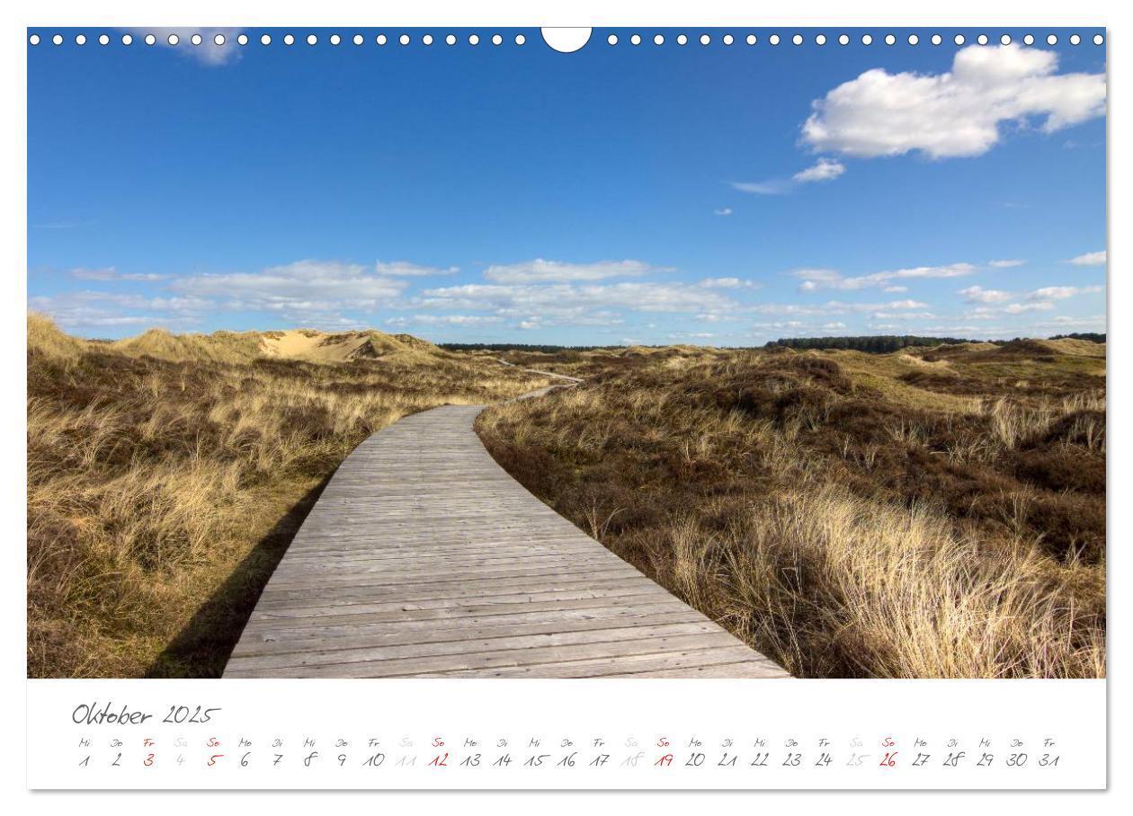 Bild: 9783435601318 | Amrum - Eine farbenfrohe Insellandschaft (Wandkalender 2025 DIN A3...