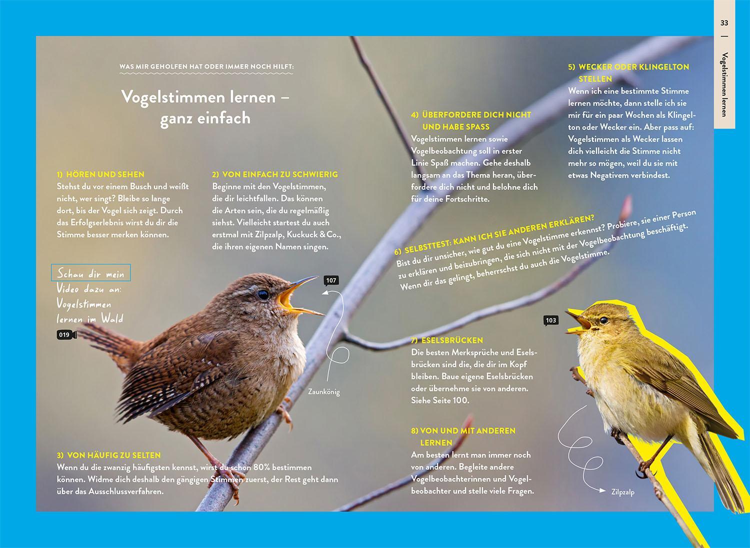 Bild: 9783440177235 | Nature Guide Vögel | Kalle Nibbenhagen | Taschenbuch | 160 S. | 2024