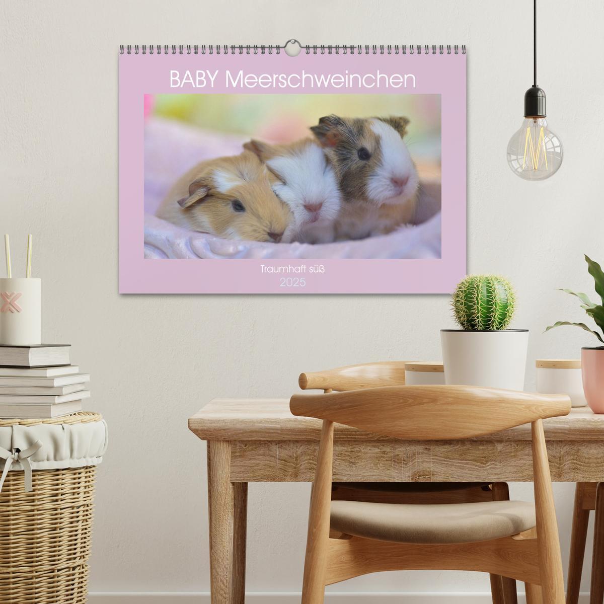 Bild: 9783435079360 | BABY Meerschweinchen Traumhaft süß (Wandkalender 2025 DIN A3 quer),...