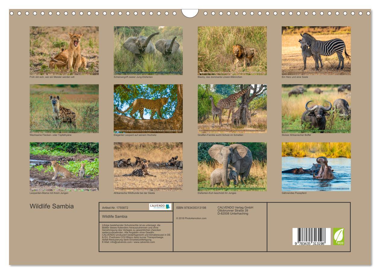 Bild: 9783435313198 | Wildlife Sambia (Wandkalender 2025 DIN A3 quer), CALVENDO...