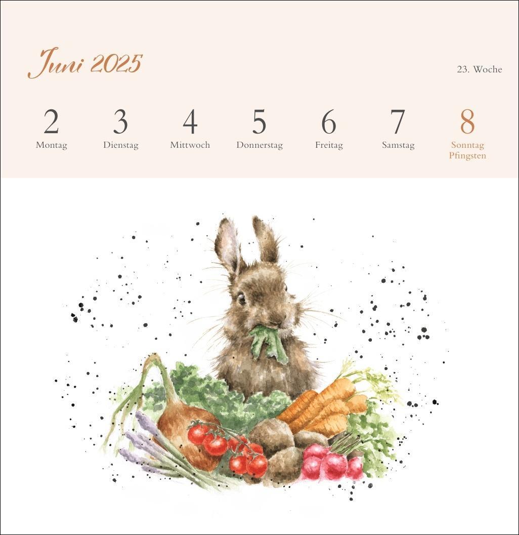 Bild: 9783756408641 | Hannah Dale: Happy Animals Premium-Postkartenkalender 2025 | Kalender