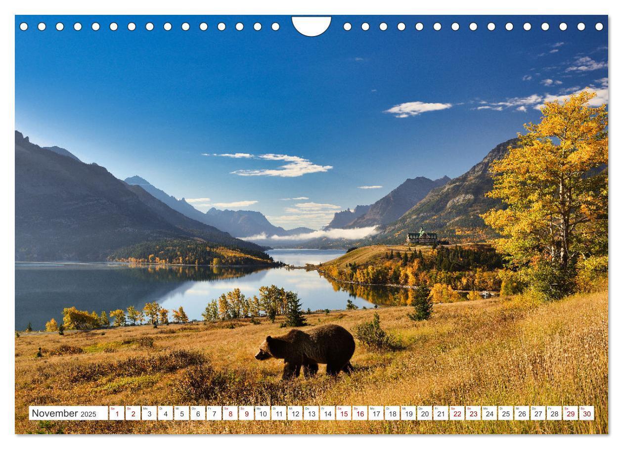 Bild: 9783383855955 | KANADA - Die Bären der Rocky Mountains (Wandkalender 2025 DIN A4...