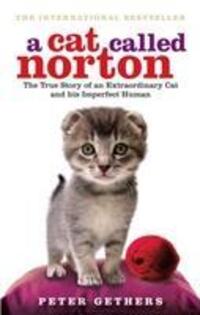 Cover: 9780091933296 | A Cat Called Norton | Peter Gethers | Taschenbuch | Englisch | 2009