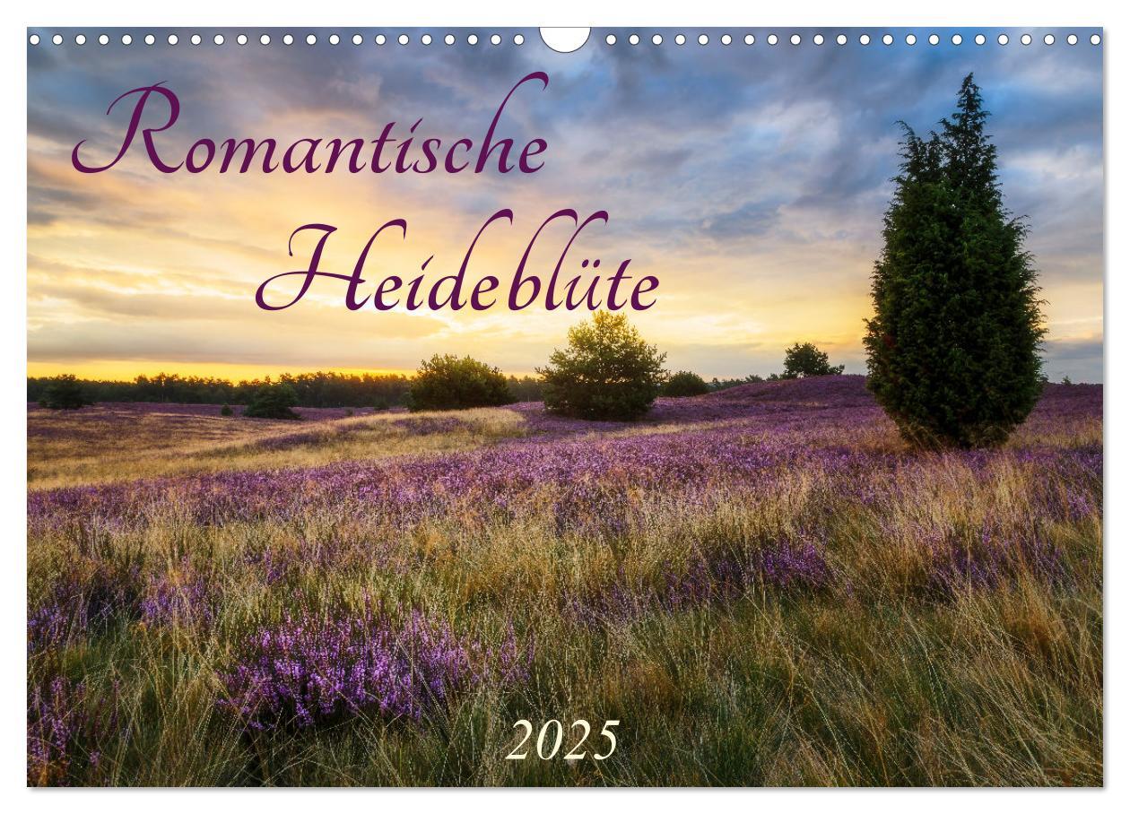 Cover: 9783383960222 | Romantische Heideblüte (Wandkalender 2025 DIN A3 quer), CALVENDO...