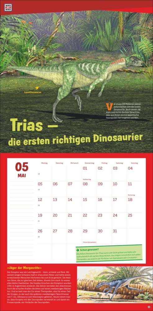 Bild: 9783756408412 | WAS IST WAS Dinosaurier Broschurkalender 2025 | Kalender | 28 S.