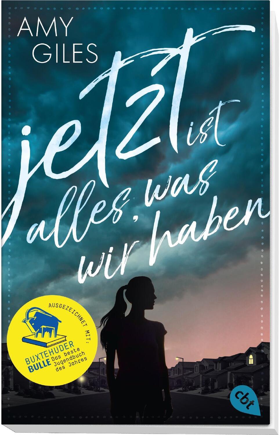 Bild: 9783570313657 | Jetzt ist alles, was wir haben | Amy Giles | Taschenbuch | 400 S.