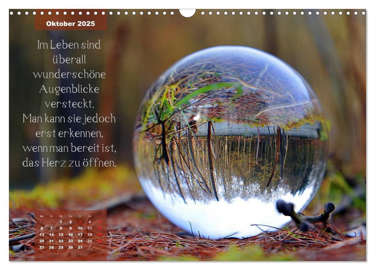 Bild: 9783435547340 | Die Welt in der Kugel (Wandkalender 2025 DIN A3 quer), CALVENDO...