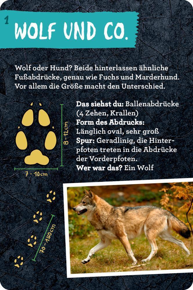 Bild: 9783649641285 | 50 Tierspuren | Barbara Wernsing | Taschenbuch | Nature Zoom | 52 S.