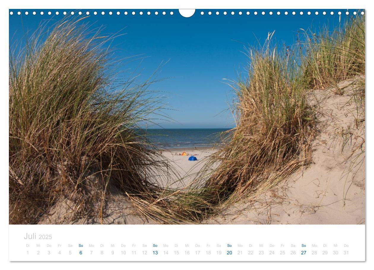 Bild: 9783435816705 | Ameland (Wandkalender 2025 DIN A3 quer), CALVENDO Monatskalender